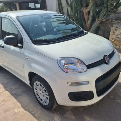 Fiat Pandina 1.0 firefly hybrid Icon s&s 65cv (6)