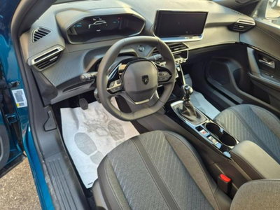 Peugeot 2008 PureTech 100 S&S Allure (10)