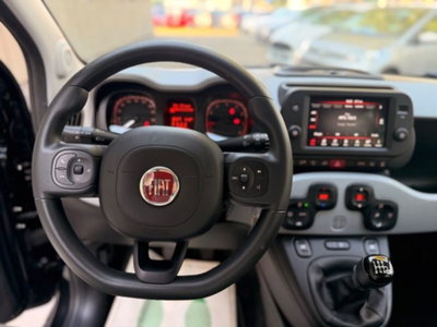 Fiat Panda Cross 1.0 firefly hybrid Cross s&s 70cv 5p.ti (14)