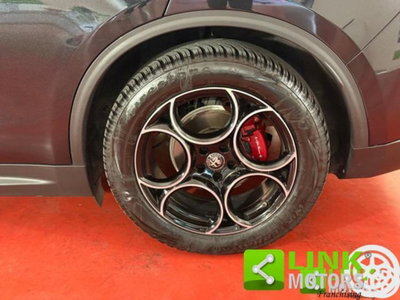 Alfa Romeo Stelvio Stelvio 2.2 Turbodiesel 160 CV AT8 RWD Sprint (16)