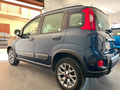Fiat Panda 1.3 MJT S&S 4x4 (2)