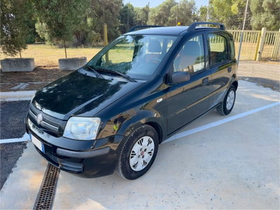 Fiat Panda 1.2 Dynamic usata