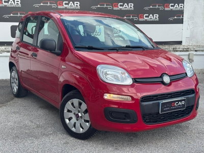 Fiat Panda 1.2 Easy usata