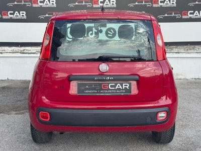 Fiat Panda 1.2 Easy (6)