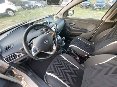 Lancia Ypsilon 1.2 69 CV 5 porte Platinum (10)