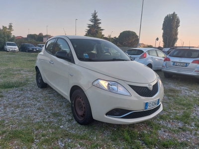 Lancia Ypsilon 1.2 69 CV 5 porte Platinum (2)