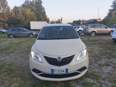 Lancia Ypsilon 1.2 69 CV 5 porte Platinum (3)