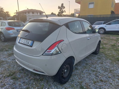 Lancia Ypsilon 1.2 69 CV 5 porte Platinum (5)