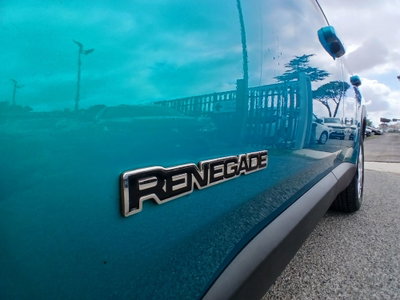 Jeep Renegade 1.6 Mjt 120 CV Limited (13)