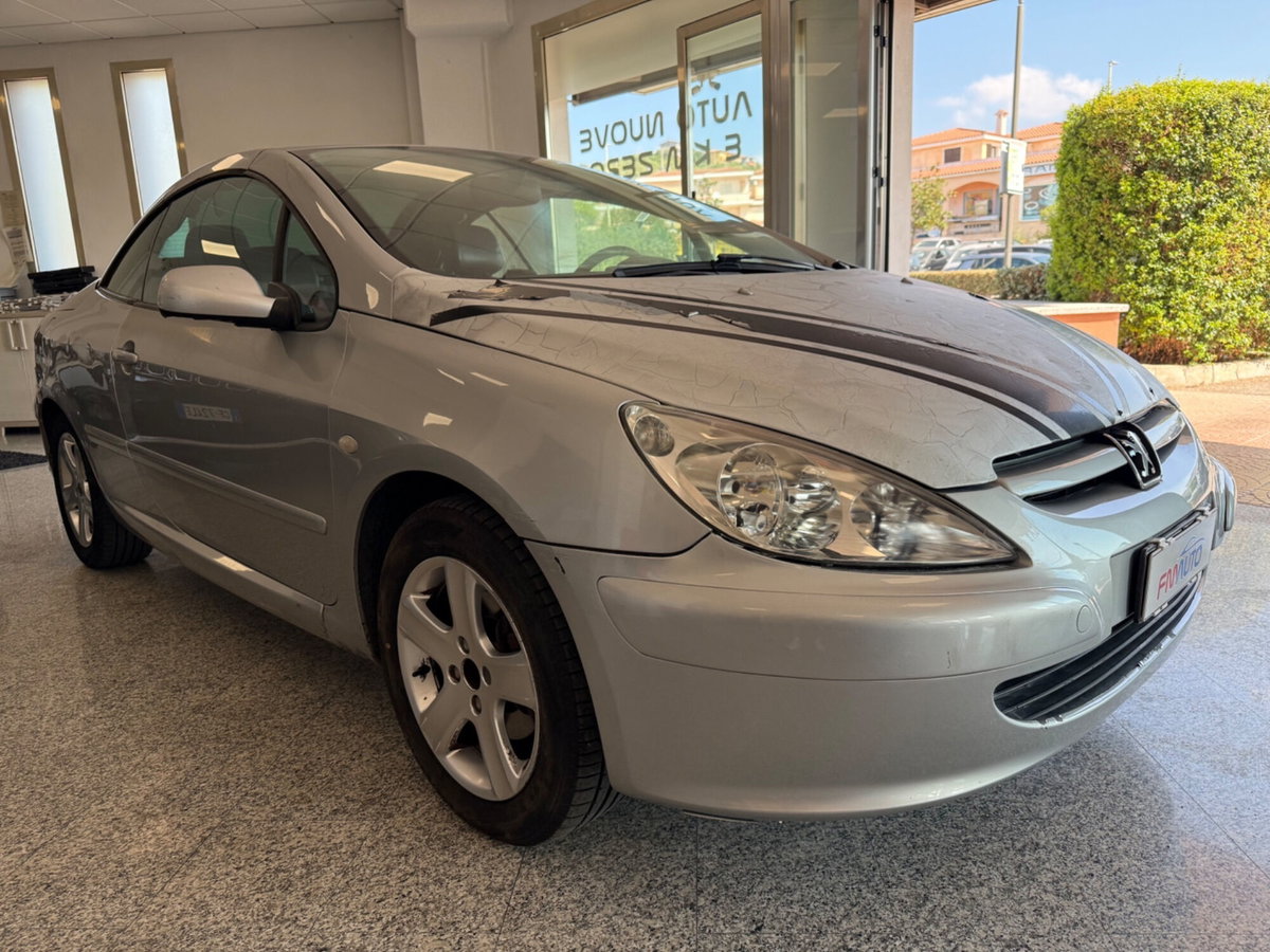 Peugeot 307 Cabrio 16V CC Tecno (3)