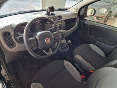 Fiat Panda 1.0 FireFly S&S Hybrid City Life (7)