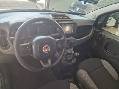 Fiat Panda 1.0 FireFly S&S Hybrid City Life (7)
