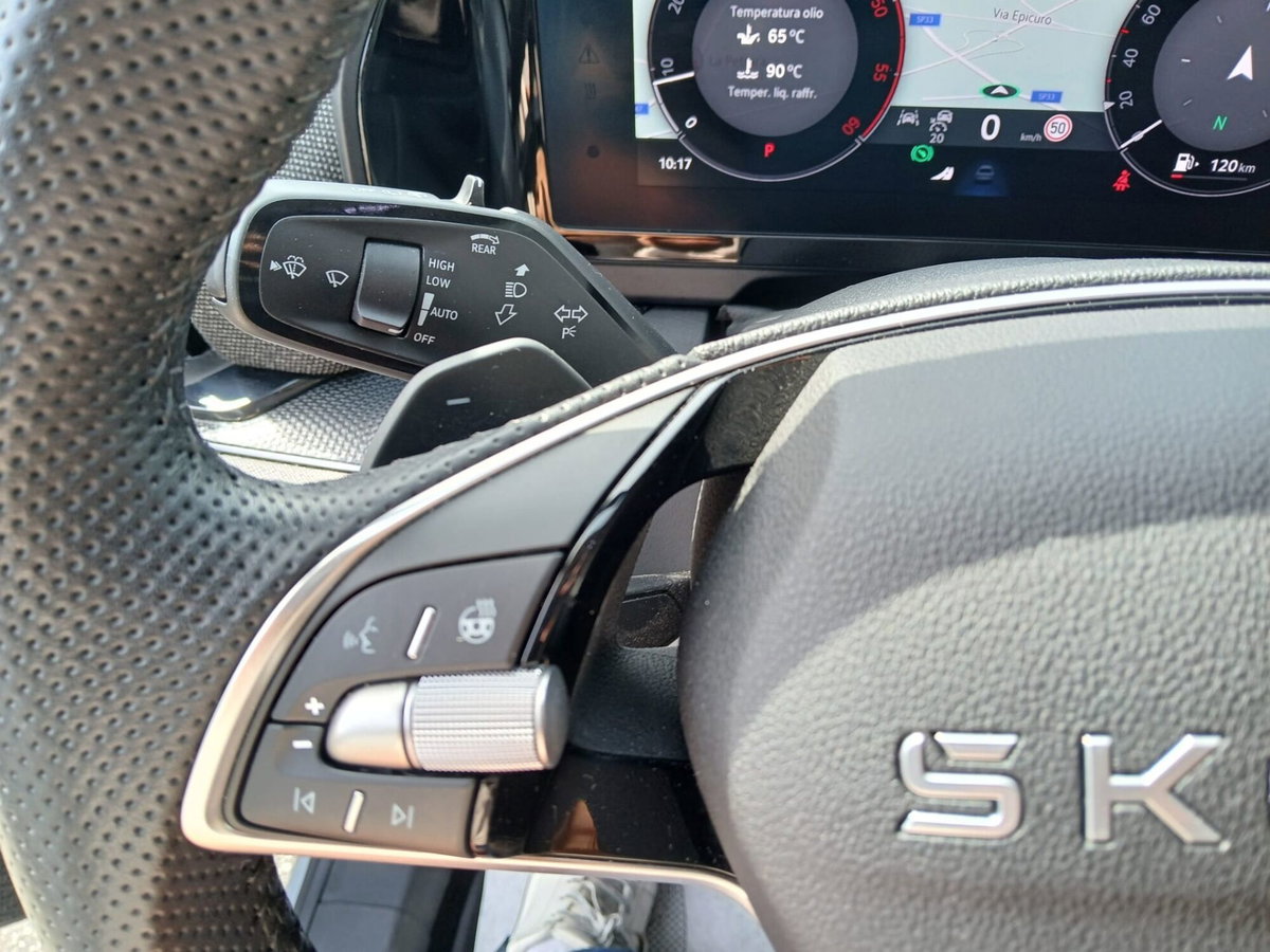 Skoda Kodiaq 2.0 TDI EVO SCR 4x4 DSG 7 posti Executive (15)
