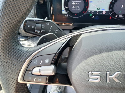 Skoda Kodiaq 2.0 TDI EVO SCR 4x4 DSG 7 posti Executive (15)