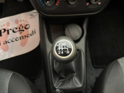 Fiat Punto 1.4 8V 5 porte Natural Power Street (14)