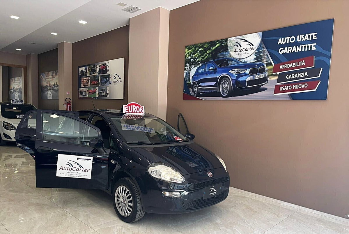 Fiat Punto 1.4 8V 5 porte Natural Power Street (18)