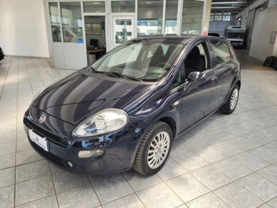 Fiat Punto 1.2 8V 5 porte Street usata
