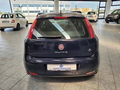 Fiat Punto 1.2 8V 5 porte Street (5)