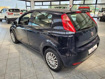 Fiat Punto 1.2 8V 5 porte Street (6)