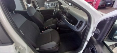 Fiat Panda 1.2 Easy (6)