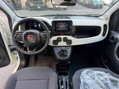 Fiat Panda 1.0 firefly hybrid s&s 70cv 5p.ti (2)