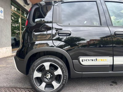 Fiat Panda 1.0 firefly hybrid s&s 70cv 5p.ti (12)