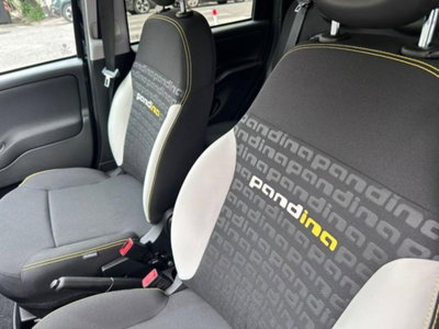 Fiat Panda 1.0 firefly hybrid s&s 70cv 5p.ti (16)