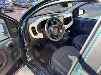 Fiat Panda 1.0 firefly hybrid s&s 70cv 5p.ti (13)