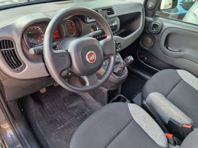 Fiat Panda 1.0 firefly hybrid s&s 70cv 5p.ti (11)