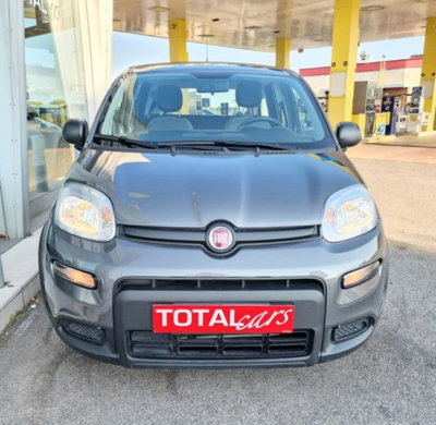Fiat Panda 1.0 firefly hybrid s&s 70cv 5p.ti (2)