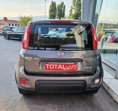 Fiat Panda 1.0 firefly hybrid s&s 70cv 5p.ti (8)