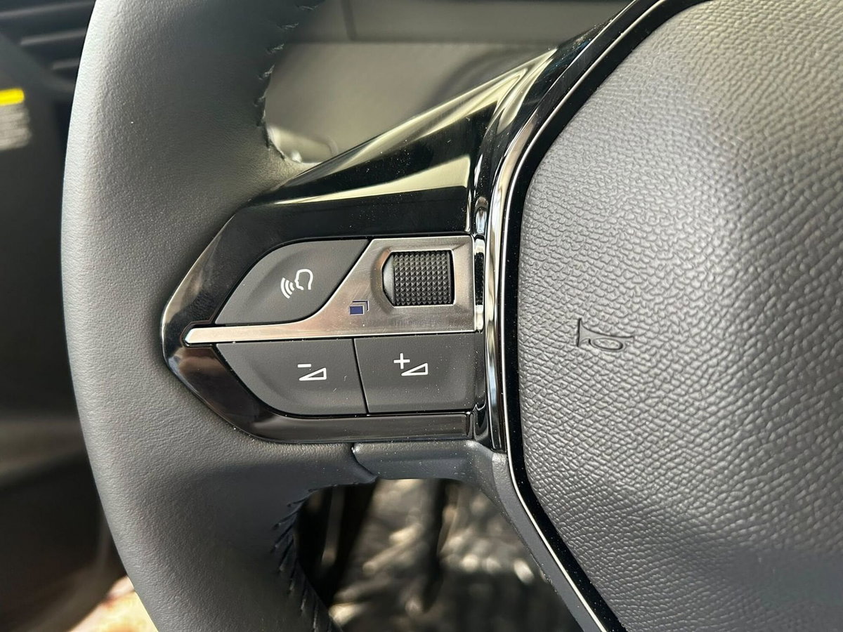 Peugeot 208 1.2 hybrid Business 110cv e-dcs 6 (19)