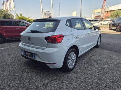 SEAT Ibiza 1.6 TDI 95 CV 5 porte Business (4)
