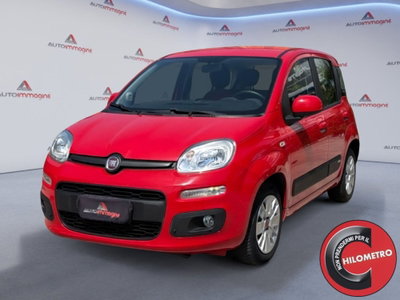 Fiat Panda 1.2 Easy usata
