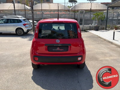 Fiat Panda 1.2 Easy (5)