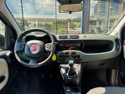 Fiat Panda 1.3 MJT 16V DPF 4x4 Climbing (6)