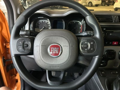Fiat Panda 1.3 MJT 16V DPF 4x4 Climbing (10)
