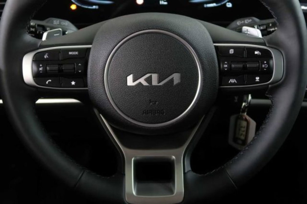 Kia Sportage 1.6 tgdi phev Business awd auto (16)
