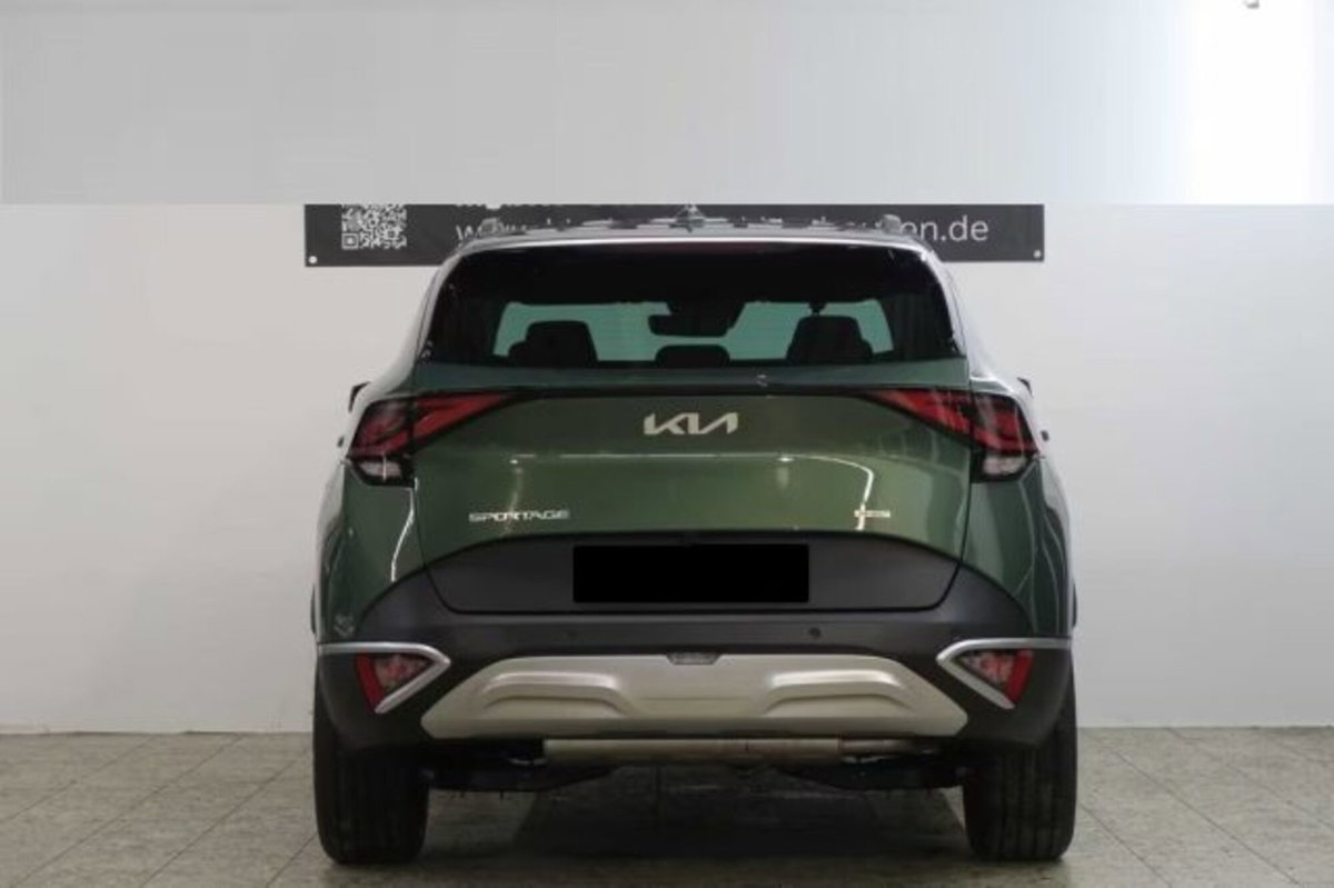 Kia Sportage 1.6 tgdi phev Business awd auto (5)