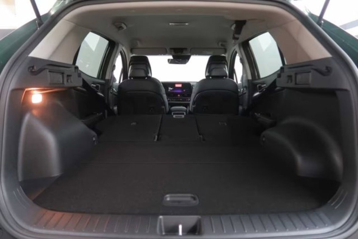 Kia Sportage 1.6 tgdi phev Business awd auto (8)