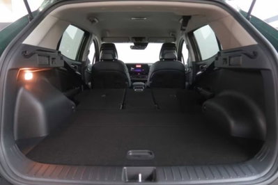 Kia Sportage 1.6 tgdi phev Business awd auto (8)