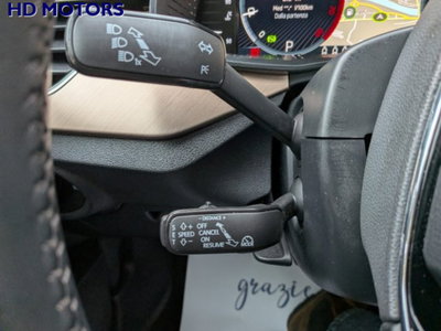 Skoda Kamiq 1.0 TSI 110 CV DSG Style (14)