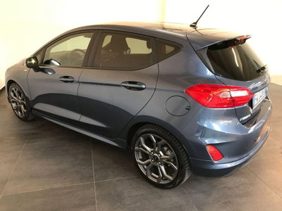 Ford Fiesta 1.1 85 CV 5 porte ST-Line (5)