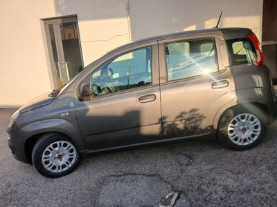 Fiat Panda 1.0 FireFly S&S Hybrid (6)
