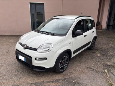 Fiat Panda 1.0 FireFly S&S Hybrid City Cross usata