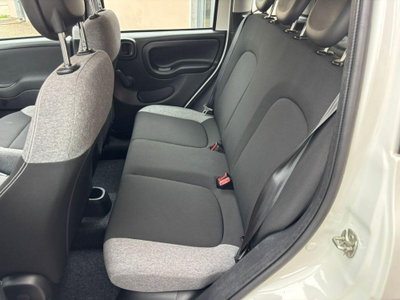 Fiat Panda 1.0 FireFly S&S Hybrid City Cross (3)