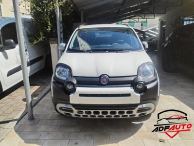 Fiat Panda 1.0 FireFly S&S Hybrid usata
