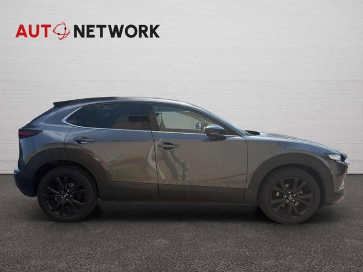 Mazda CX-30 e-Skyactiv-G 150 CV M Hybrid Hybrid 2WD Homura (8)