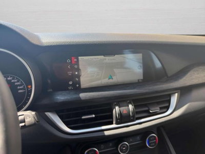 Alfa Romeo Stelvio Stelvio 2.0 Turbo 200 CV AT8 Q4 Super Business (13)