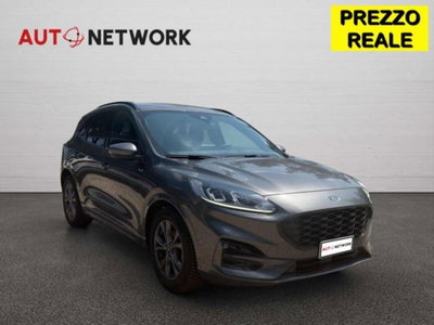 Ford Kuga 2.0 EcoBlue 120 CV aut. 2WD ST-Line X usata